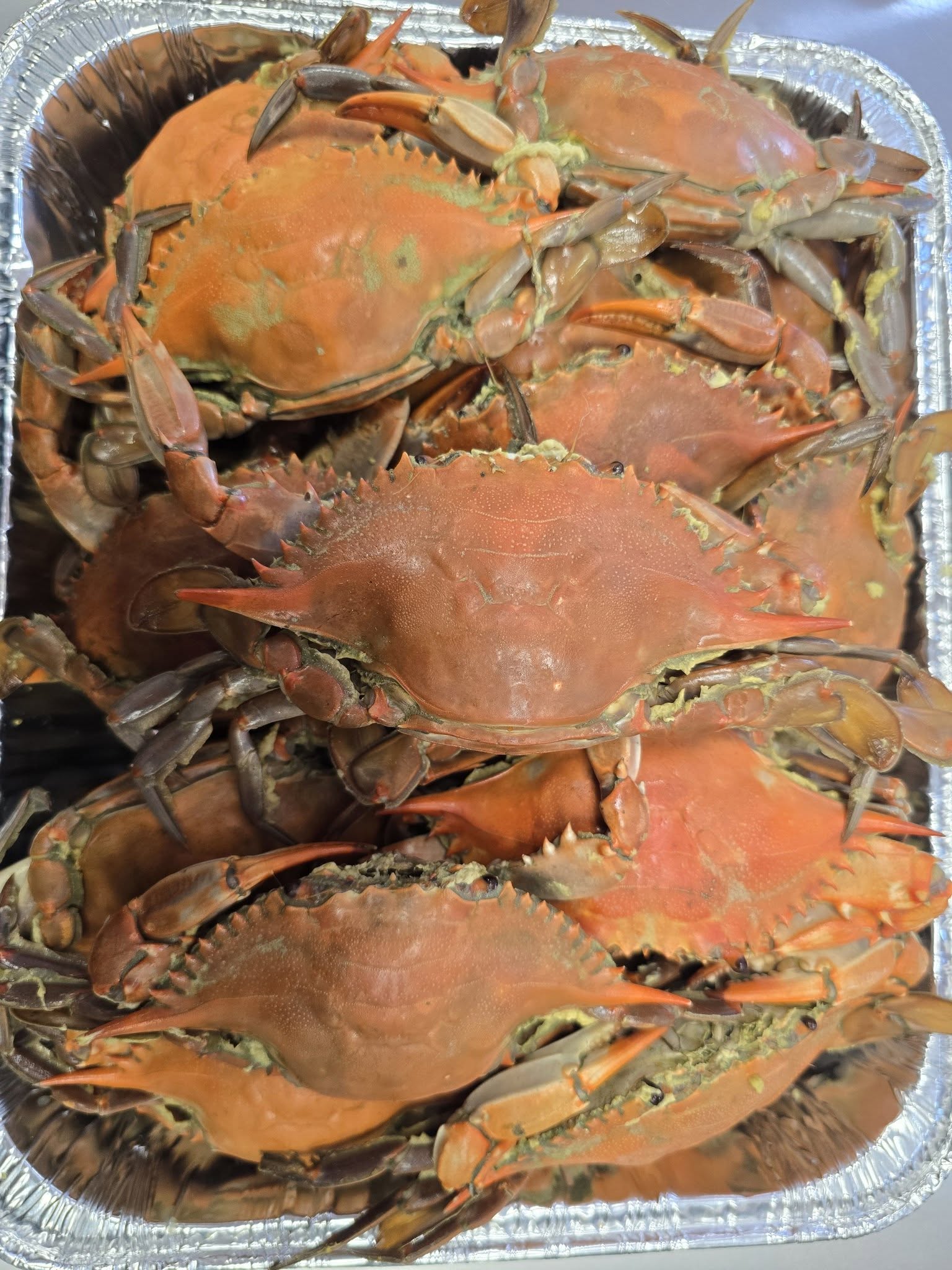 Local blue crab